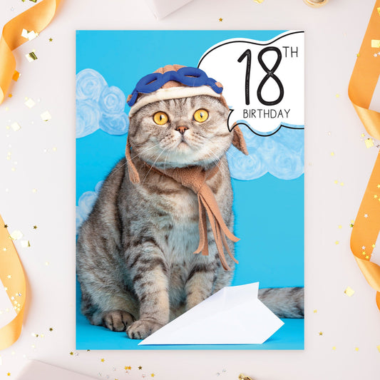 363-MLST0018B | ABD18/Airplane Cat With 18