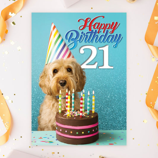 363-MLST0021C | ABD21/21st Dog and Cake