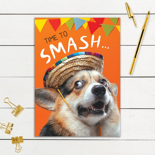 564-SIOPE0881C | BD/Time To Smash