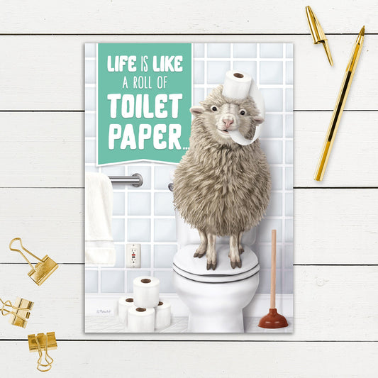 564-SIOPE0926C | BD/Toilet Paper Sheep