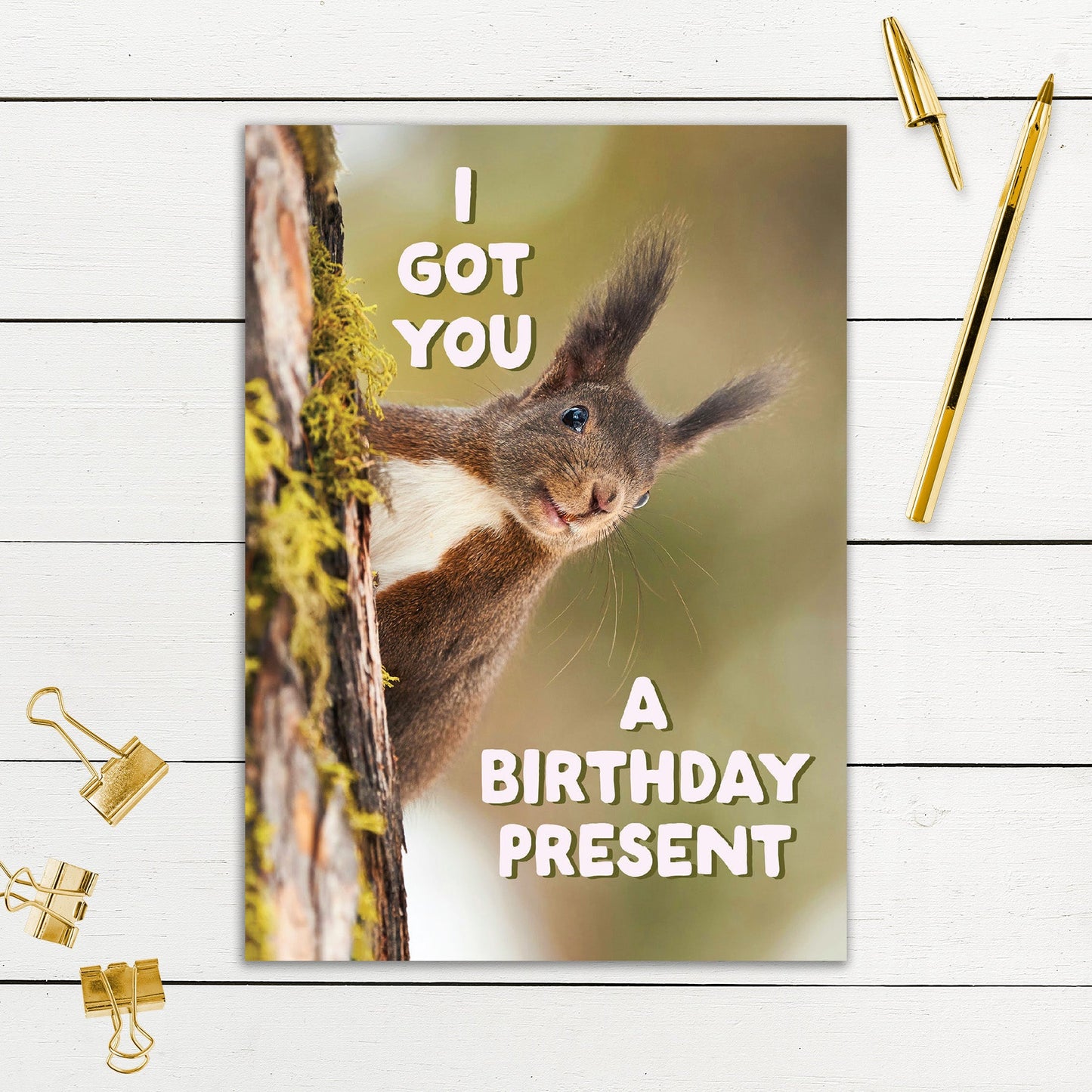 564-SIOPE0933C | BD/Birthday Present Squirrel