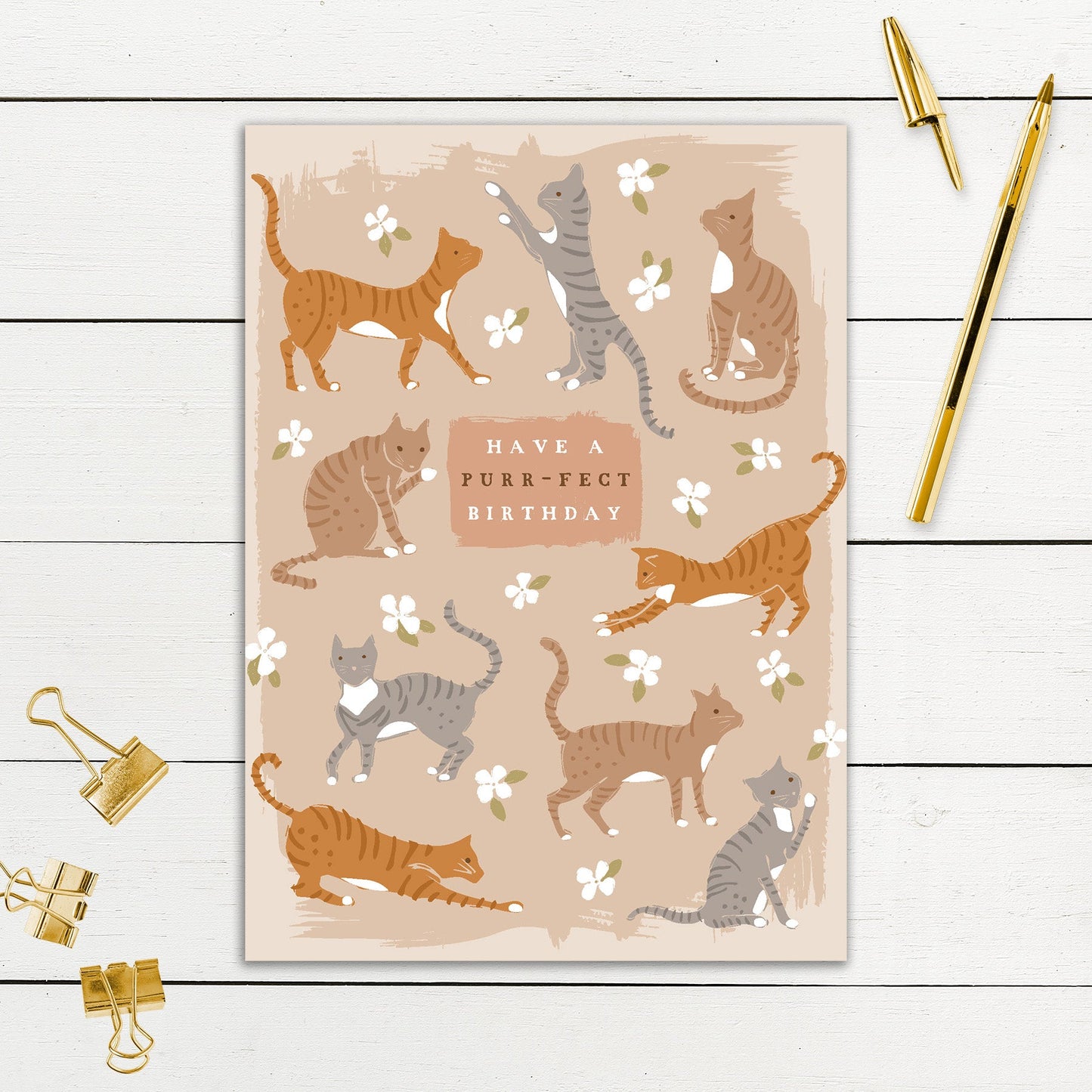 564-SIOPE0939S | BD/From The Cat