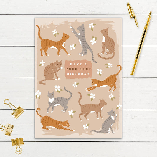 564-SIOPE0939S | BD/From The Cat