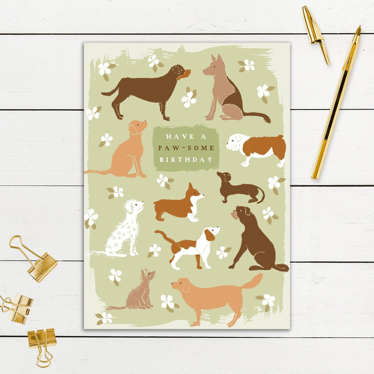 564-SIOPE0940S | BD/From The Dog