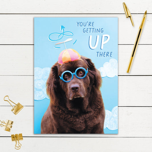 564-SIOPE0941C | BD/Getting Up There