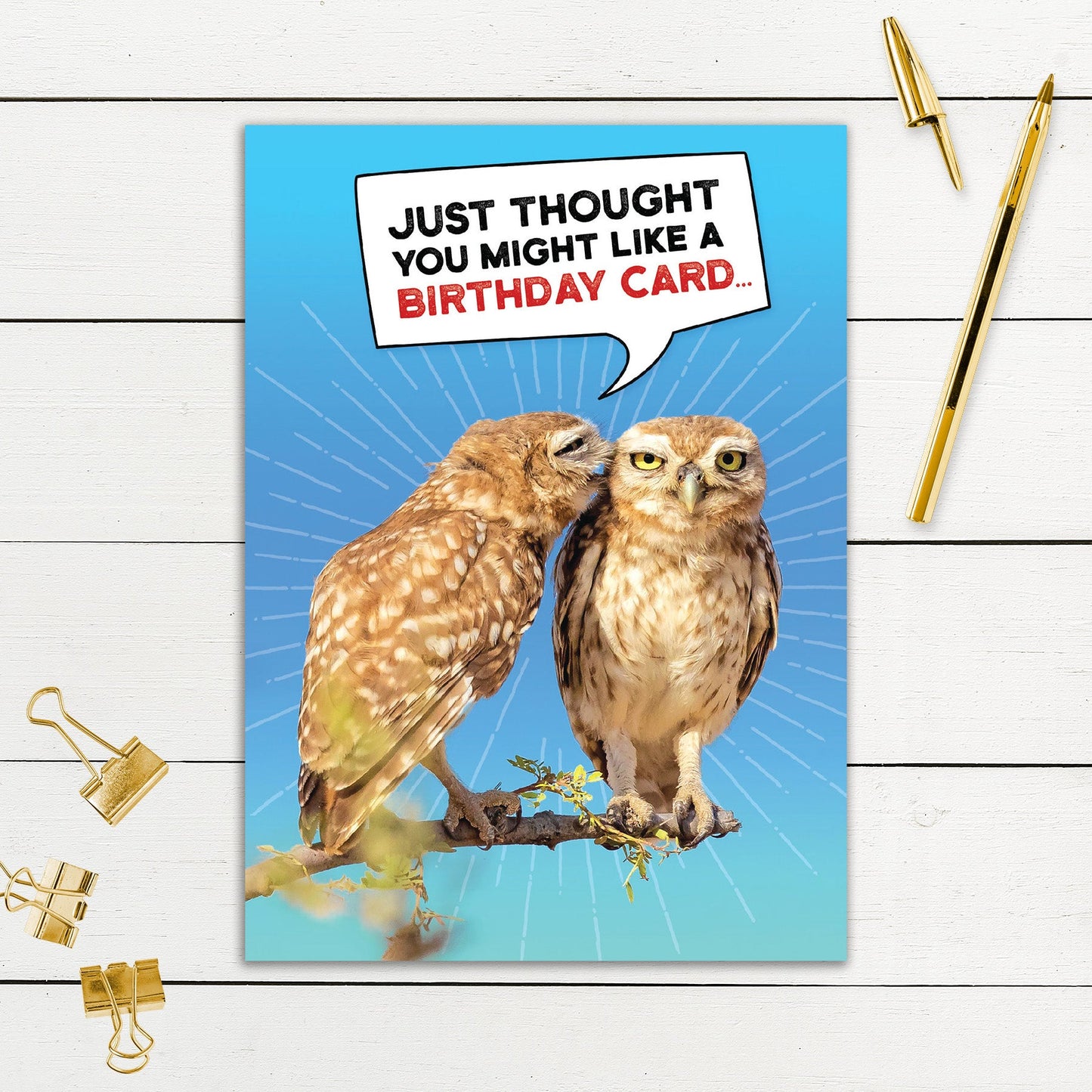 564-SIOPE0948C | BD/Nice Pair of Hooters