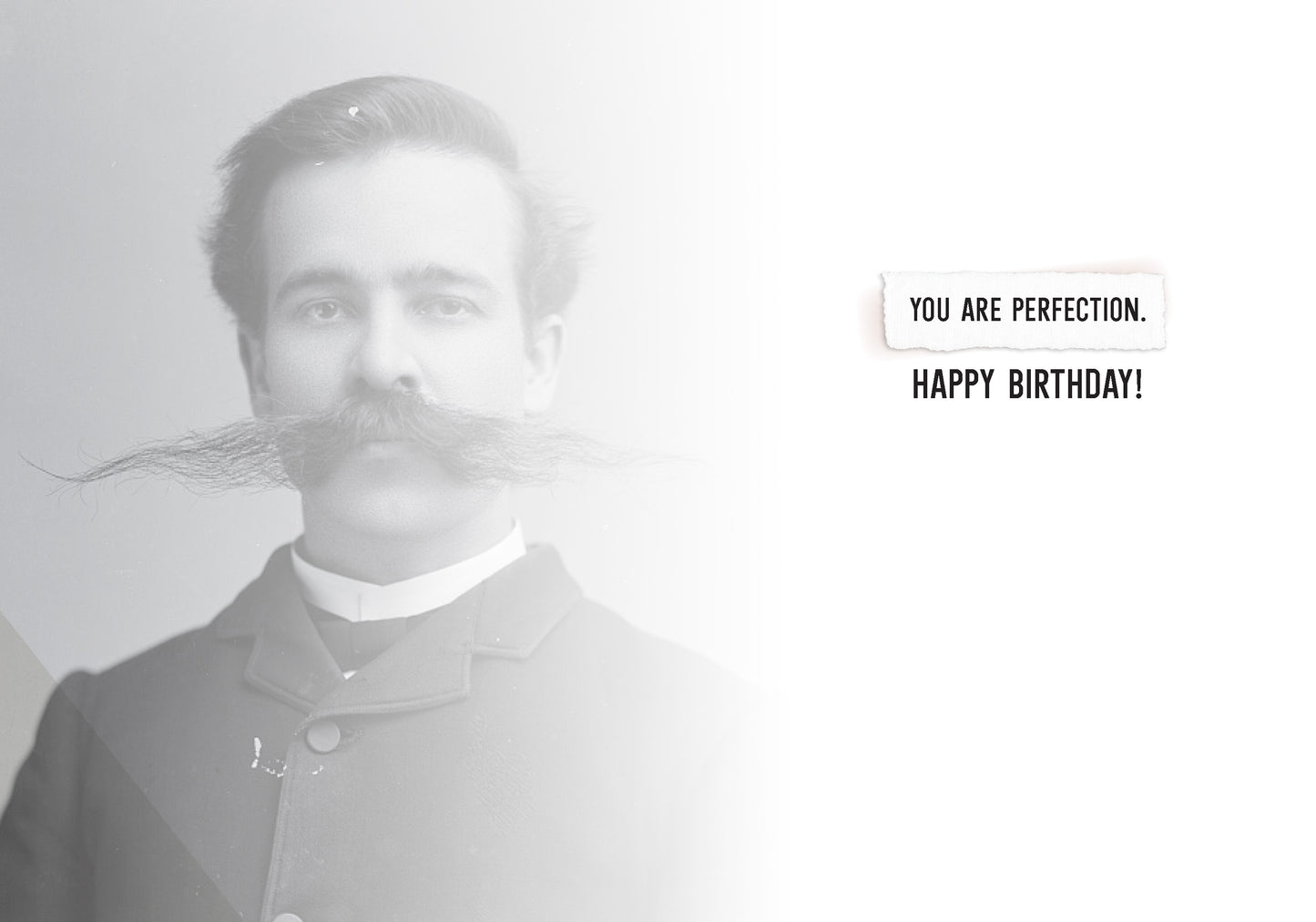 7865-TROU0006 | BD/Magnificent Bastard