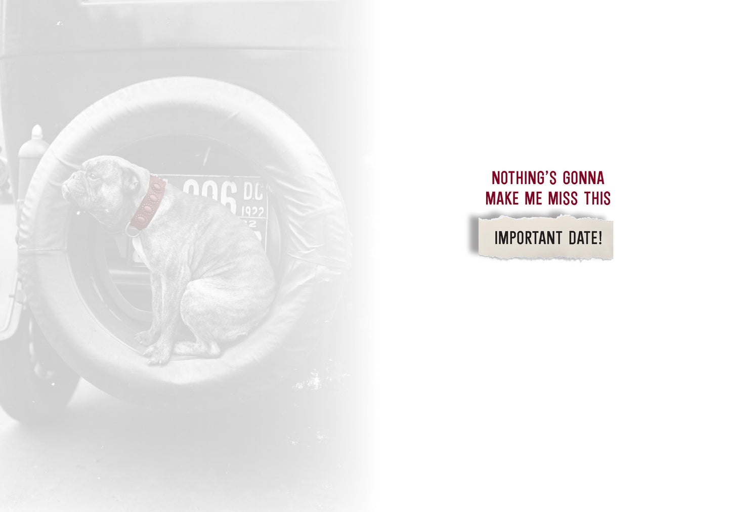 7865-TROU0009 | BD/Hitch A Ride