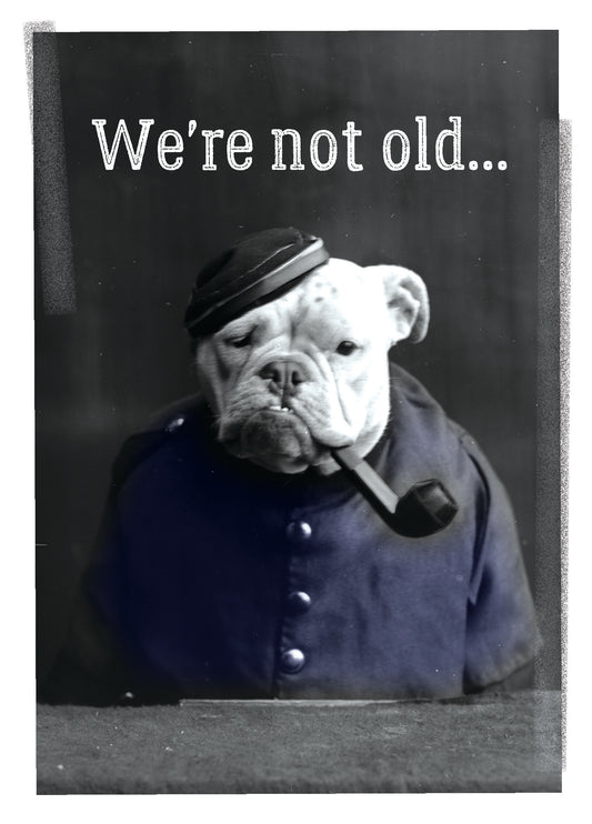 7865-TROU0015 | BD/Old Friends