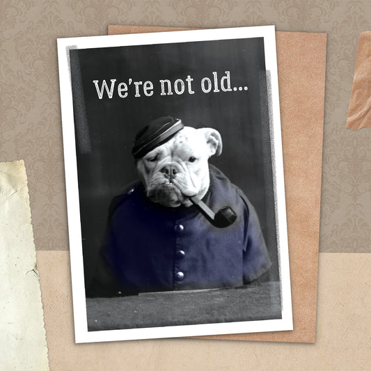 7865-TROU0015 | BD/Old Friends