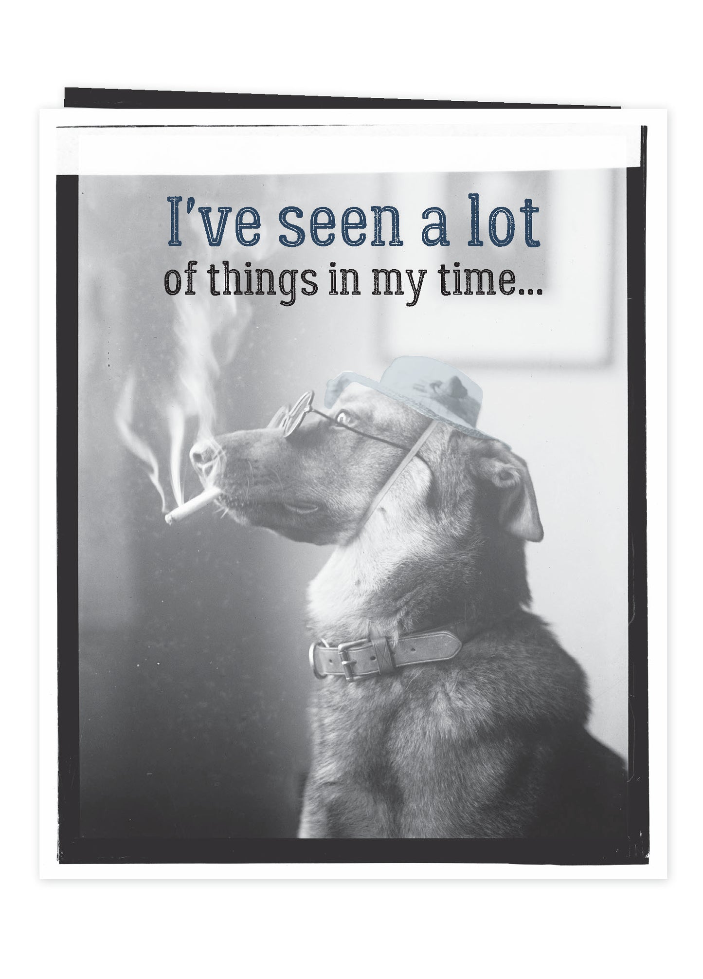 7865-TROU0022 | BD/The Spectacle