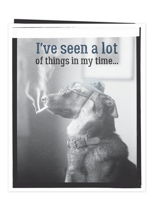 7865-TROU0022 | BD/The Spectacle