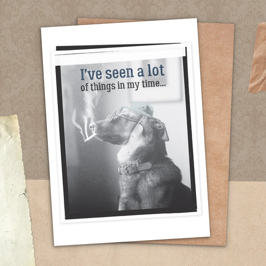 7865-TROU0022 | BD/The Spectacle