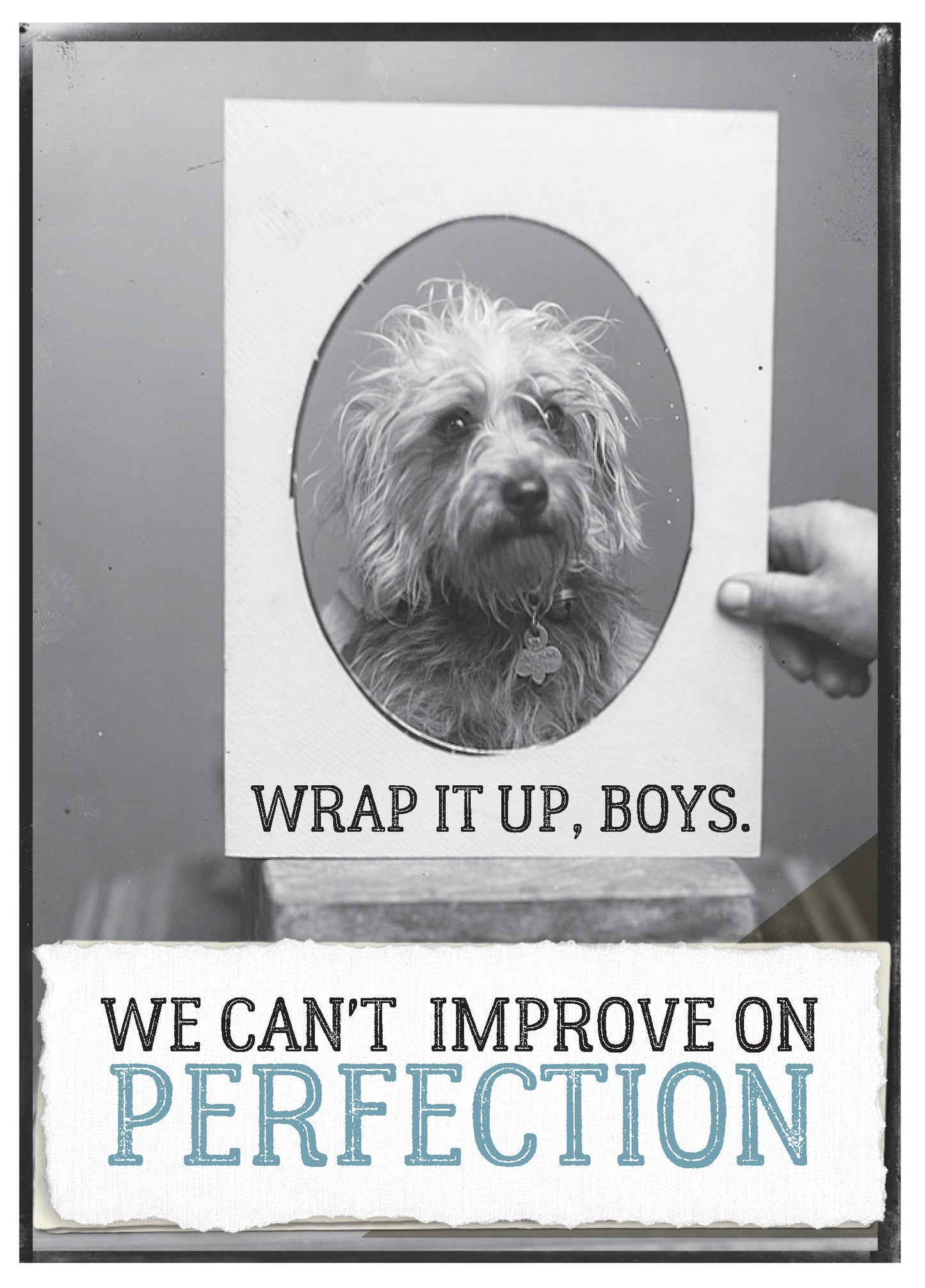 7865-TROU0023 | BD/Perfection