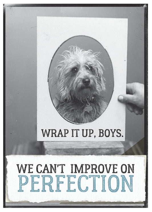 7865-TROU0023 | BD/Perfection