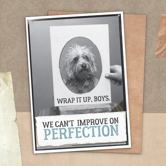 7865-TROU0023 | BD/Perfection