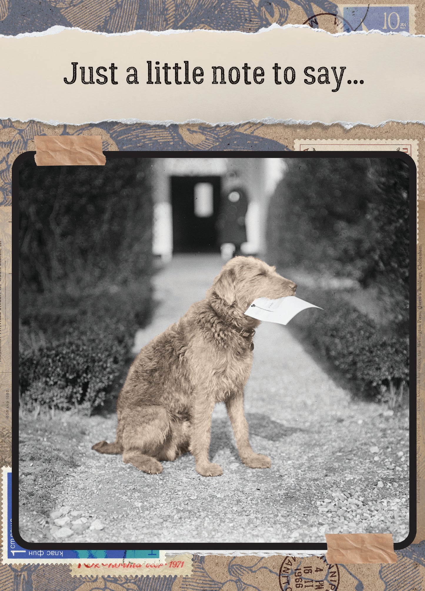 7865-TROU0041 | TY/Little Note