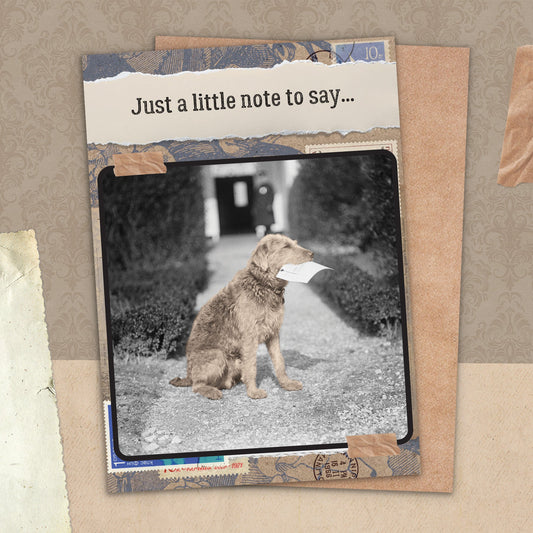 7865-TROU0041 | TY/Little Note