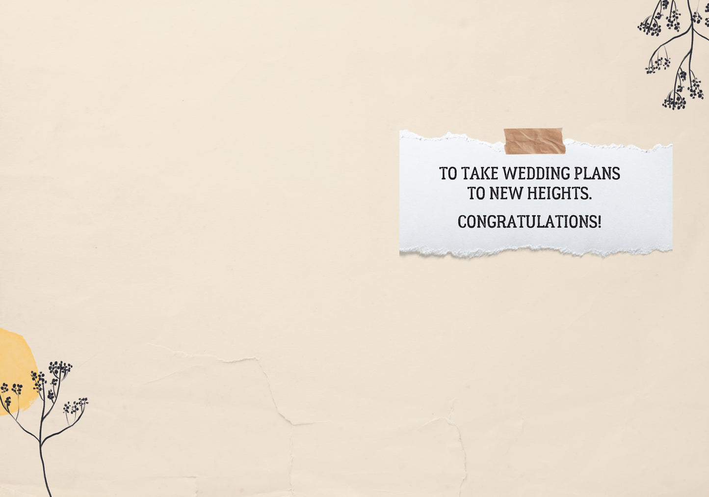 7865-TROU0043 | WD/New Heights Wedding