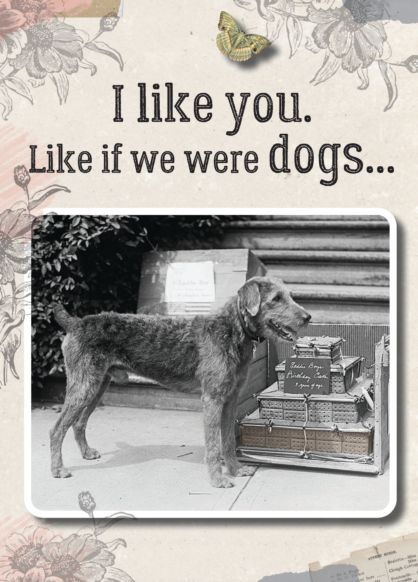 7865-TROU0047 | RO/If We Were Dogs