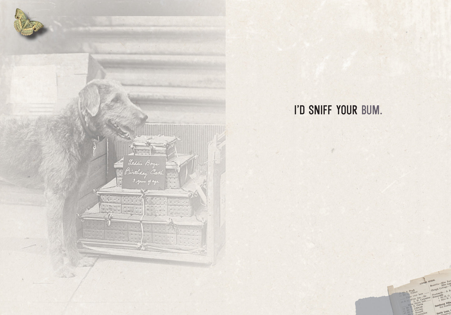 7865-TROU0047 | RO/If We Were Dogs