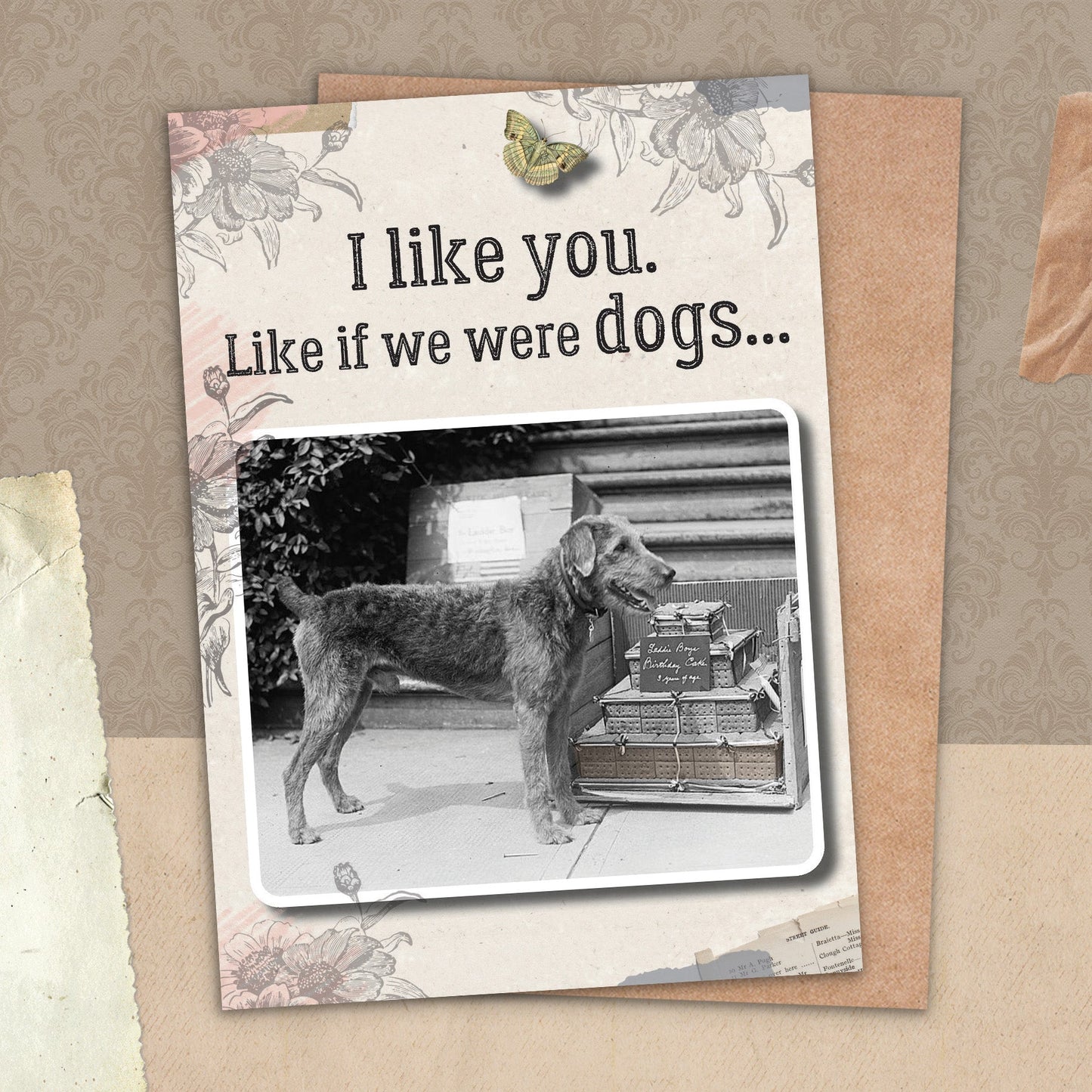 7865-TROU0047 | RO/If We Were Dogs