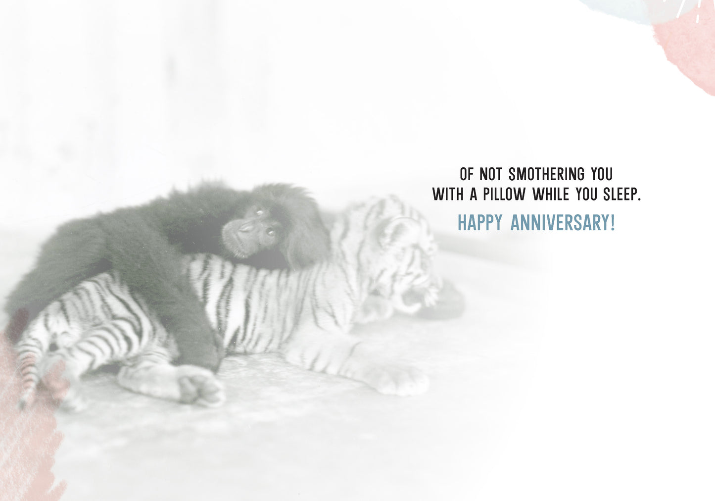 7865-TROU0081 | AN/Another Year