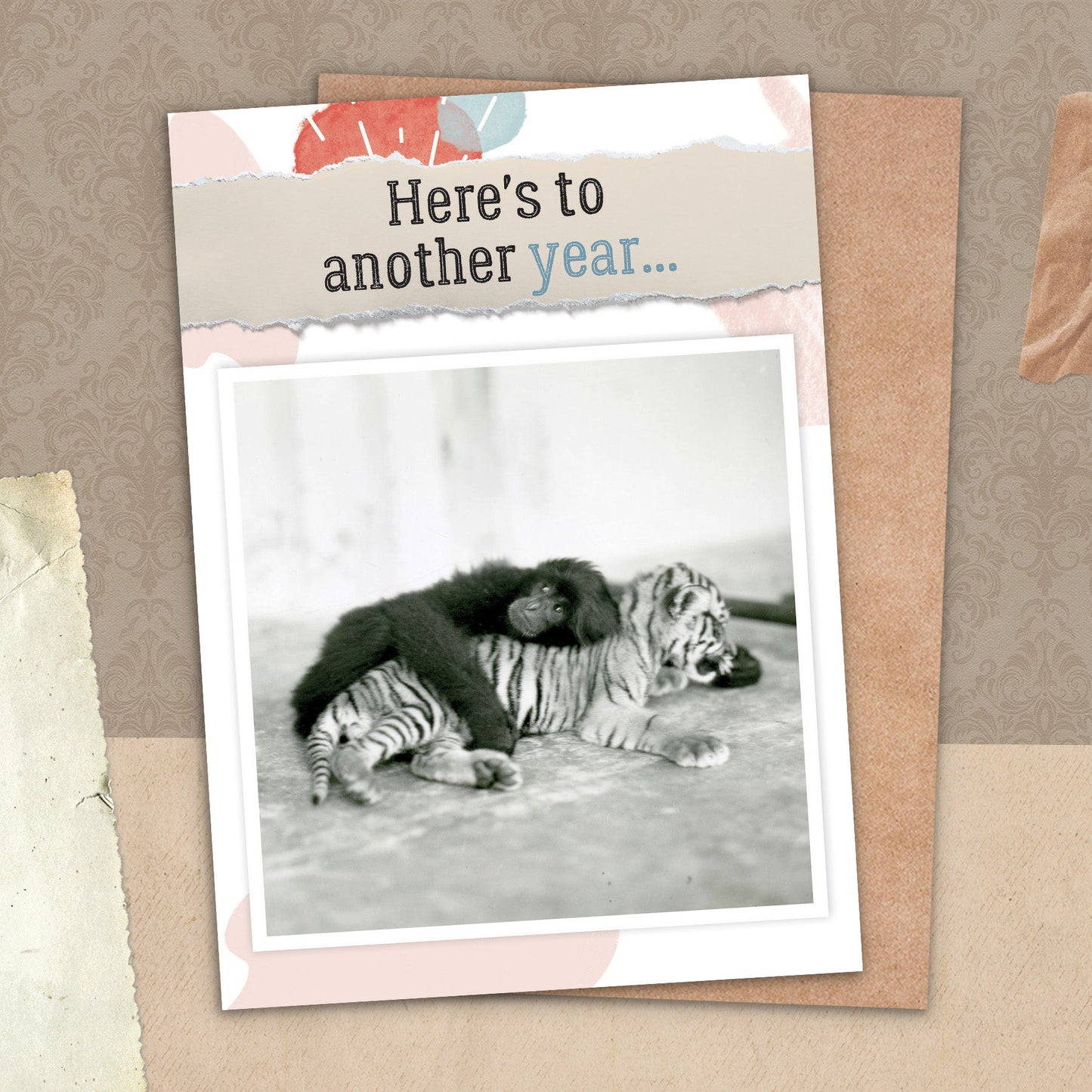 7865-TROU0081 | AN/Another Year