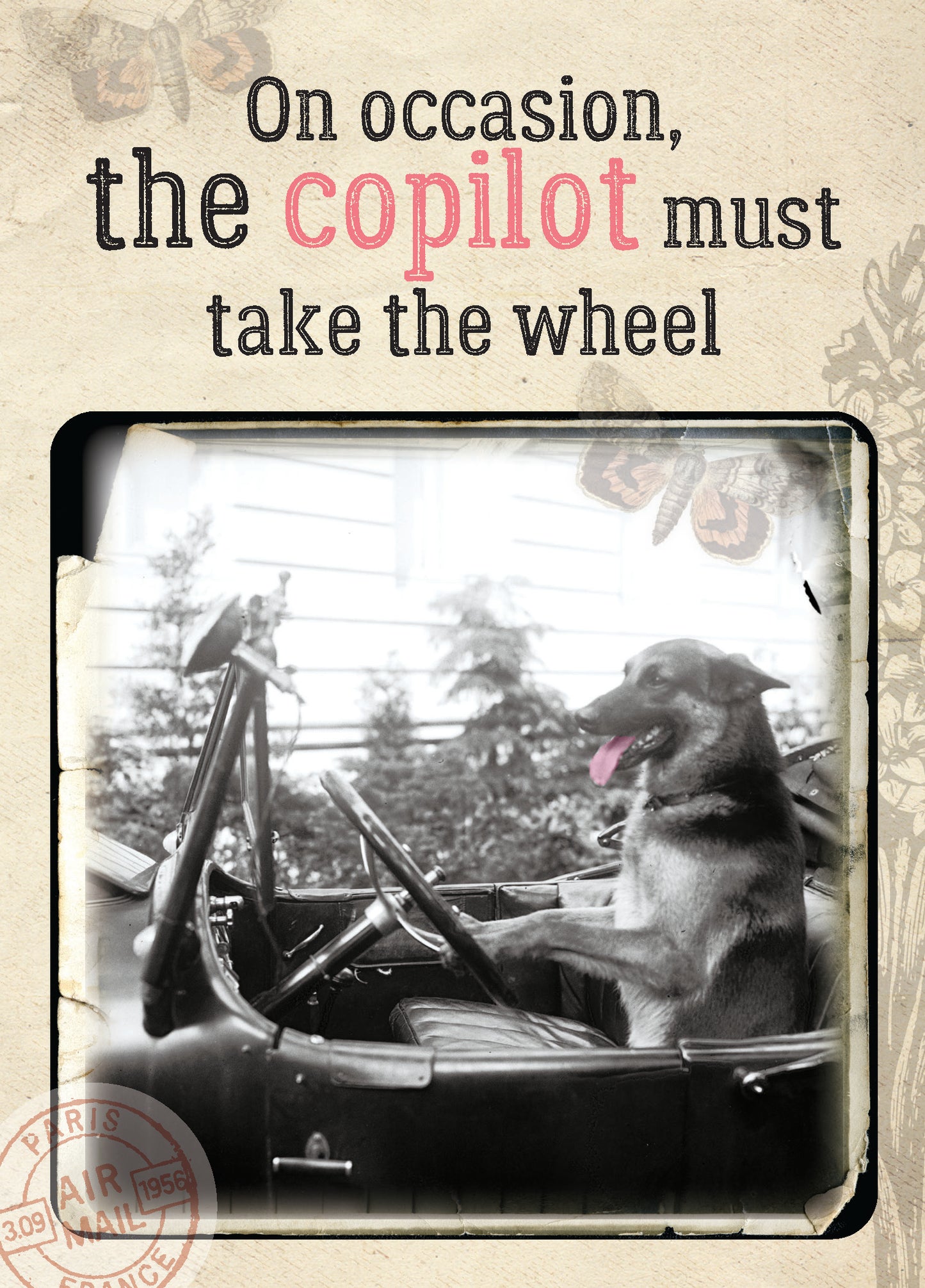 7865-TROU0093 | TY/Copilot