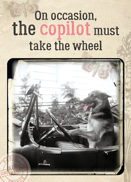 7865-TROU0093 | TY/Copilot
