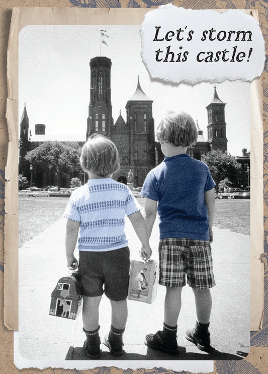 7865-TROU0111 | TY/Storm This Castle