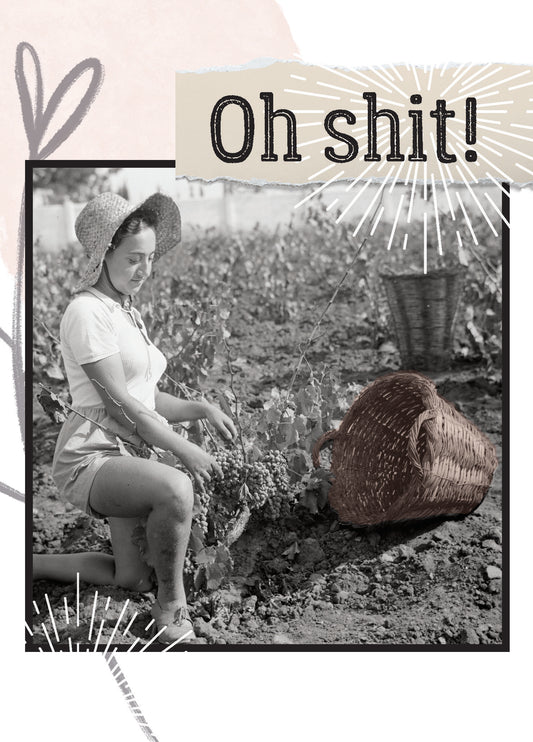 7865-TROU0116 | ED/Empty Basket