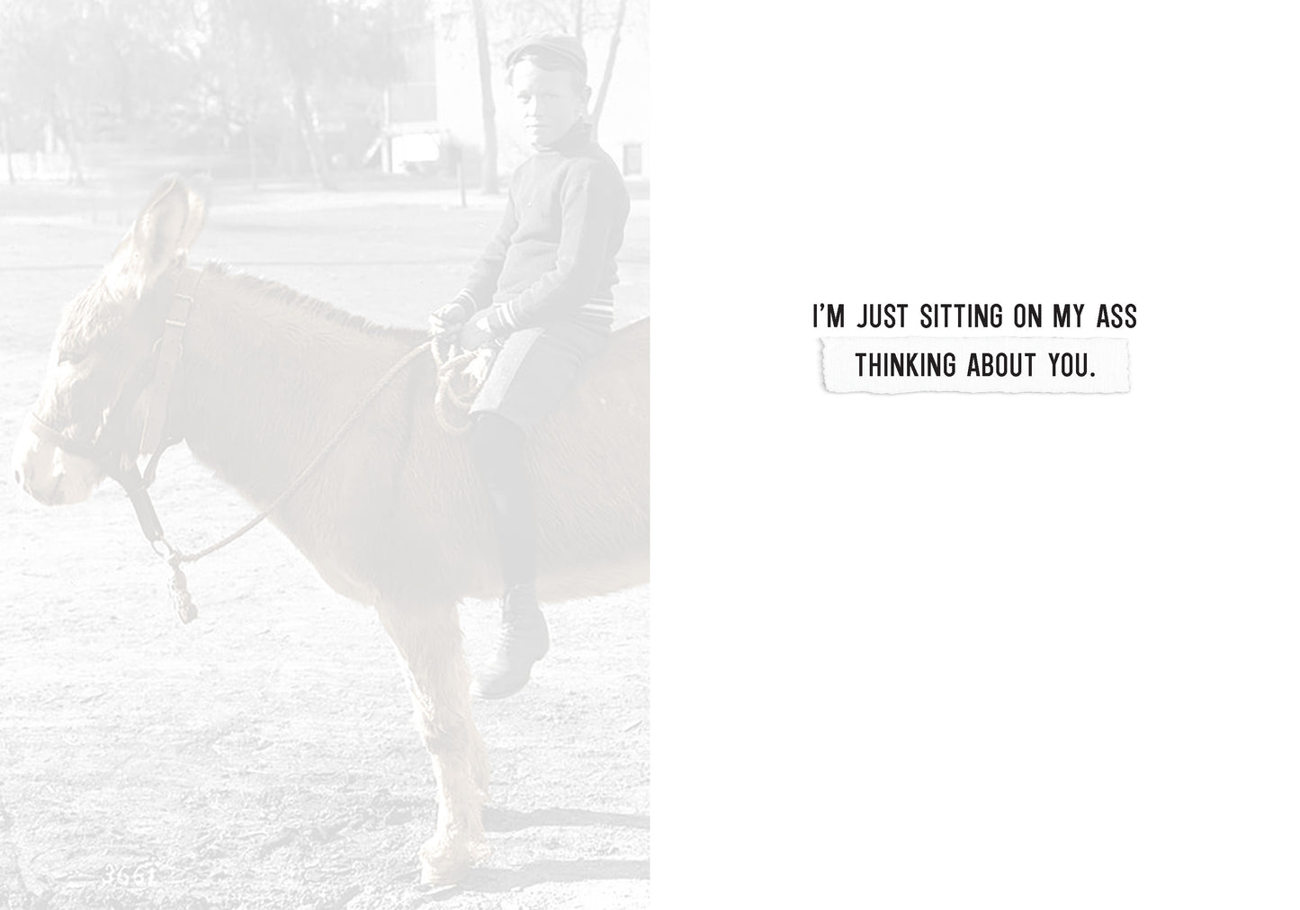 7865-TROU0121 | TH/Sitting On My Ass