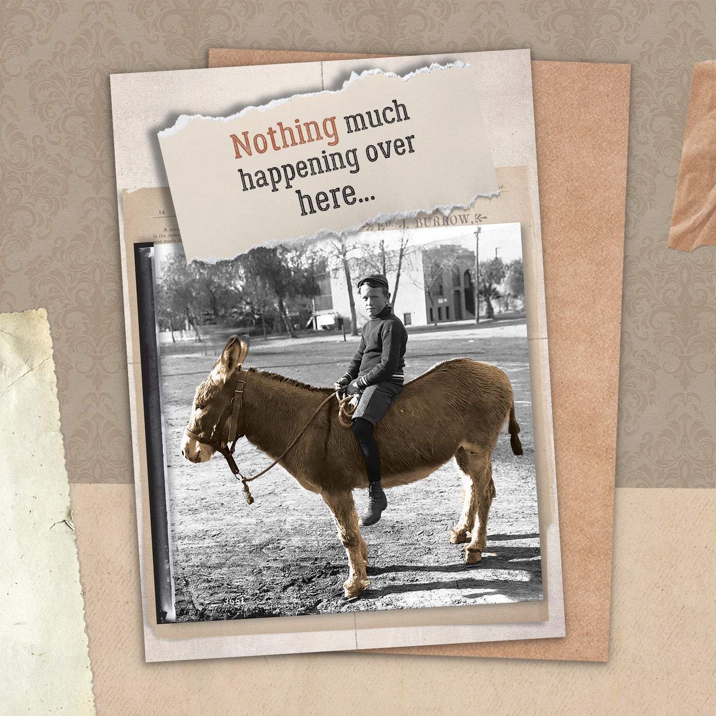 7865-TROU0121 | TH/Sitting On My Ass