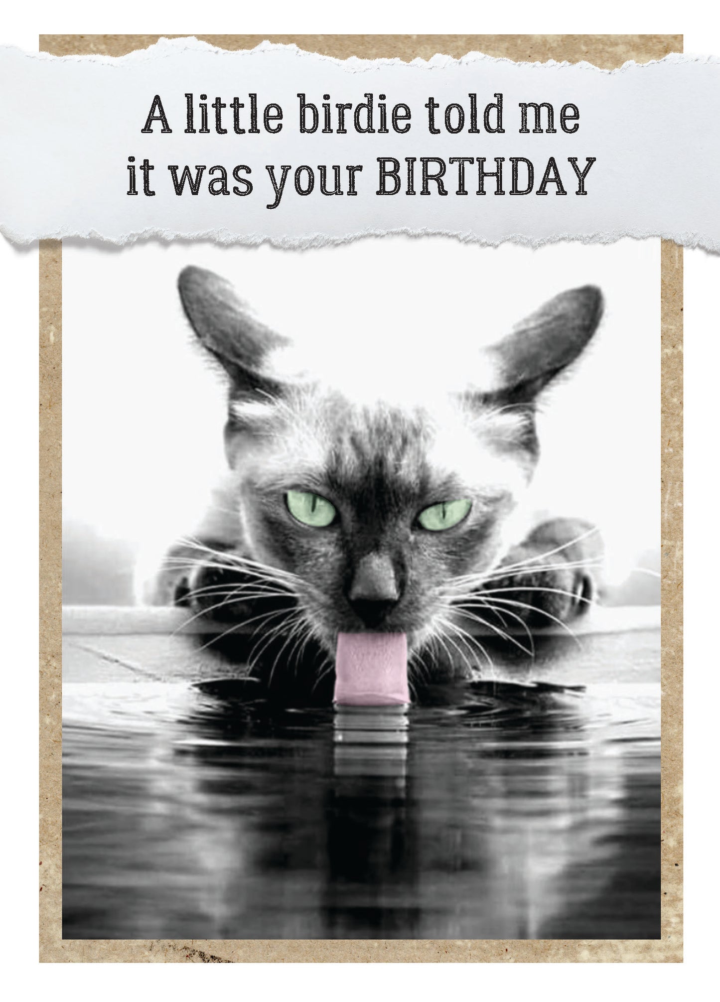 7865-TROU0148 | BD/A Little Birdie