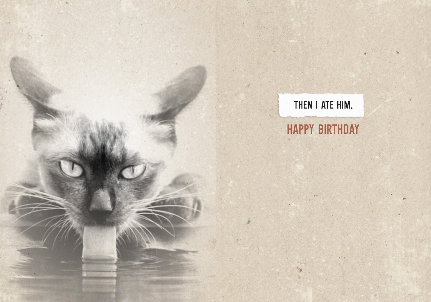 7865-TROU0148 | BD/A Little Birdie