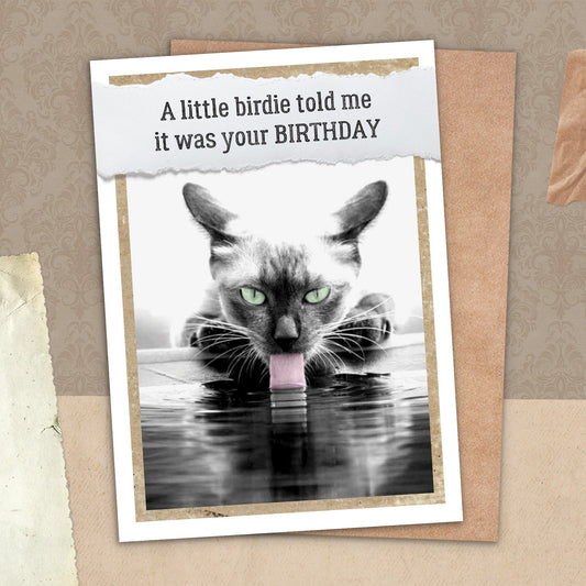 7865-TROU0148 | BD/A Little Birdie