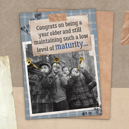 7865-TROU0189 | BD/Low Level of Maturity