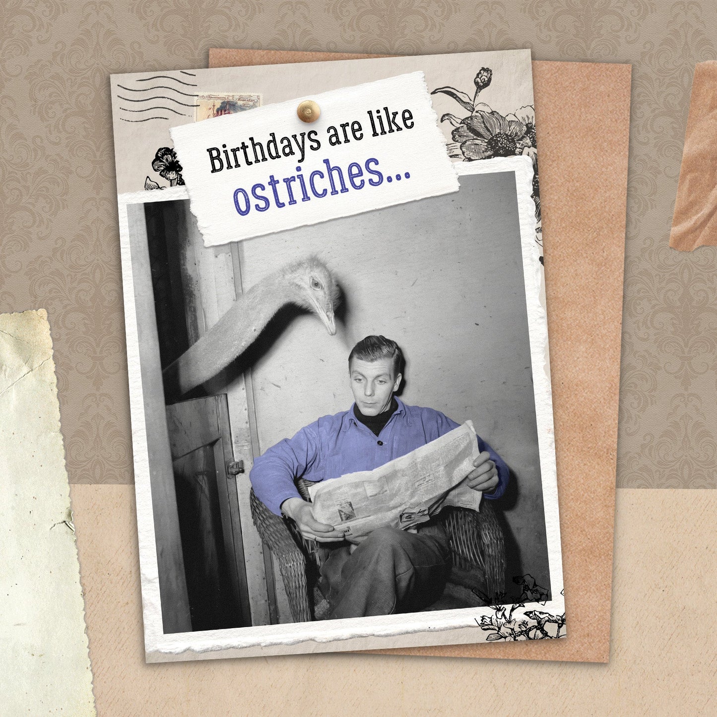 7865-TROU0201 | BD/Like Ostriches