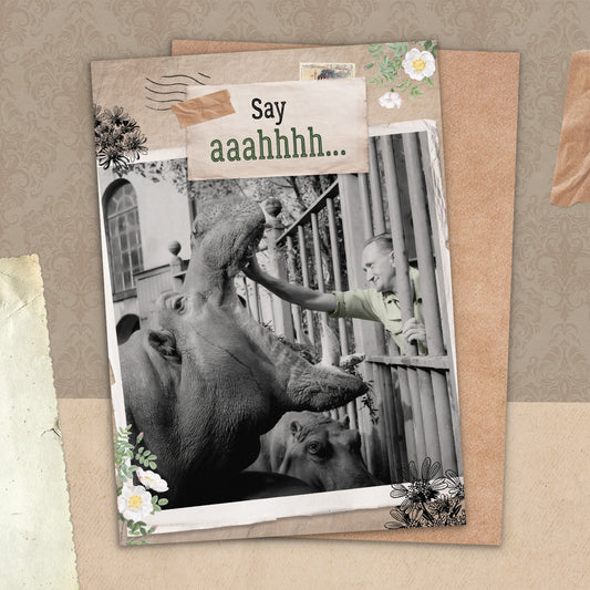 7865-TROU0211 | GW/Hippo