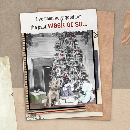 87865-TROU0268 | XM/Been Very Good