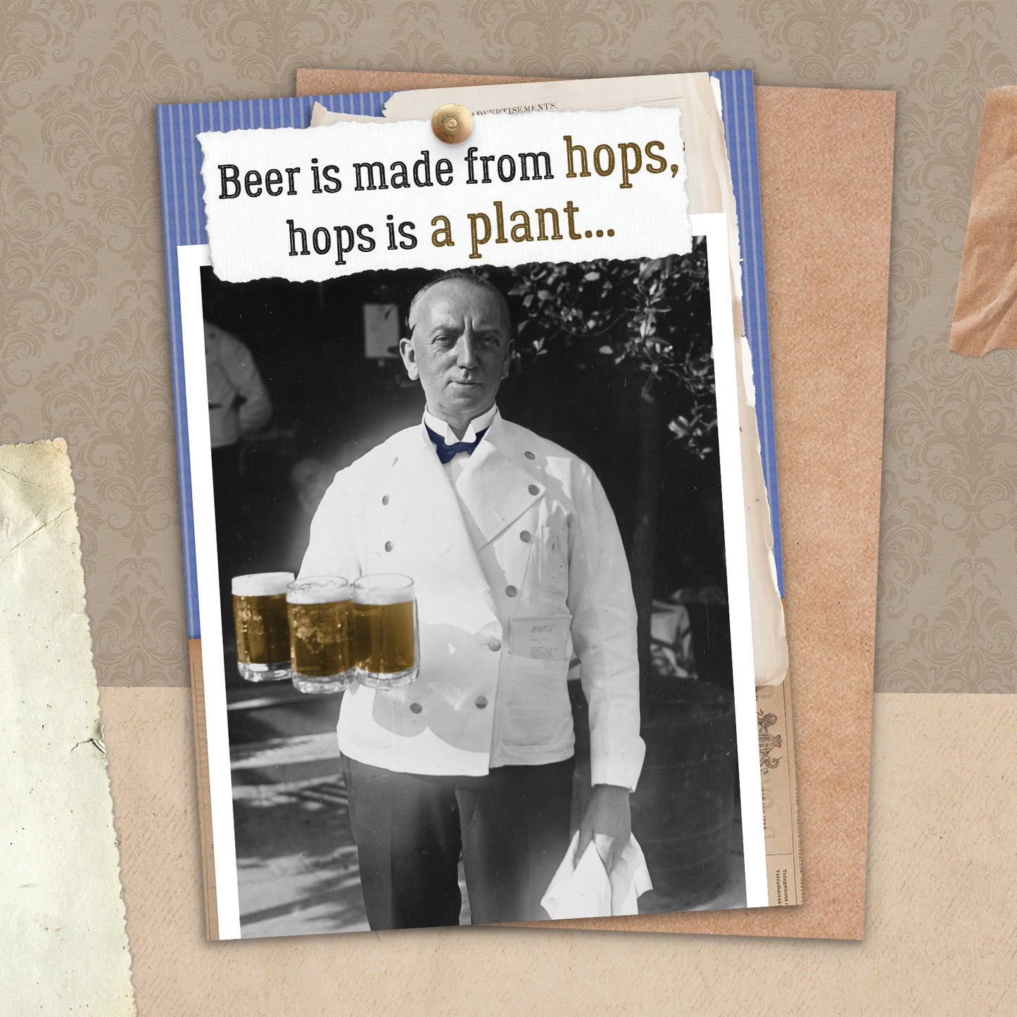 7865-TROU0279 | BD/Beer is Salad