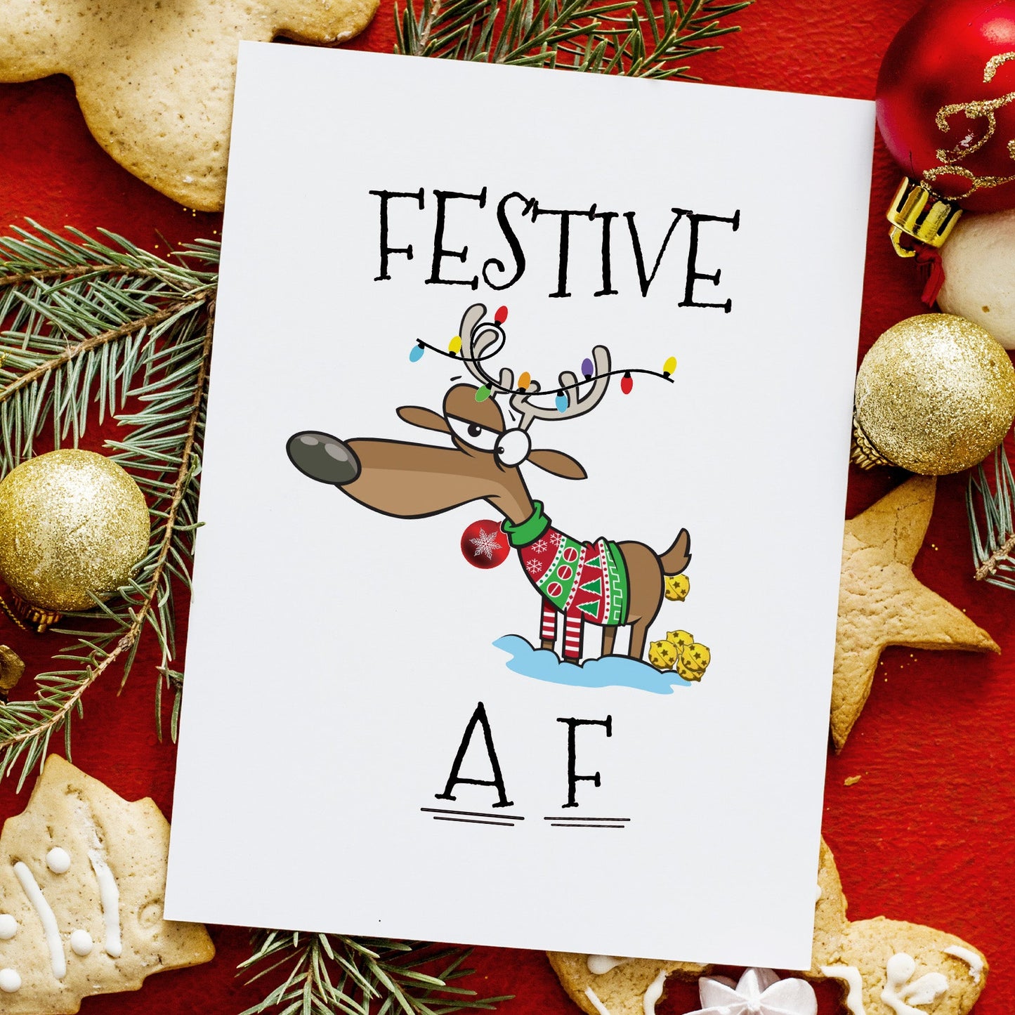 83492-XM005 | XM/Festive A F